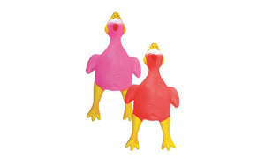 Squeaky Dog Toy