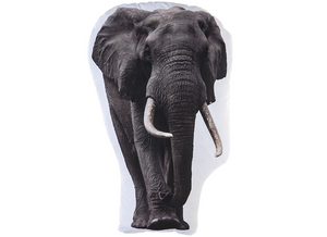 Wild Animal Throw Cushions