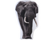Wild Animal Throw Cushions