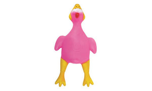 Squeaky Dog Toy