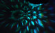 GloBrite Solar Carnival Spotlight