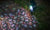 GloBrite Solar Carnival Spotlight