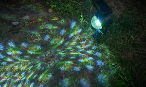 GloBrite Solar Carnival Spotlight