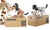 Hungry Dog Money Bank