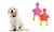 Squeaky Dog Toy