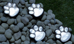 GloBrite Paw Print Solar Lights (Pack of 4)