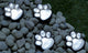 GloBrite Paw Print Solar Lights (Pack of 4)