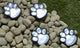 GloBrite Paw Print Solar Lights (Pack of 4)