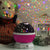 Nursery Night Light Star Projector