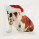 Rapport Christmas Cushion Covers