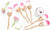 6 Piece Flower Make up Brushes