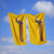 Sausage Dog Velvet Touch Bath Towels