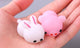10pc Assorted Animal Squishy Toys