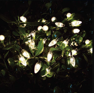 Strawberries Garden Solar String Lights