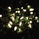 Strawberries Garden Solar String Lights