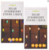Strawberries Garden Solar String Lights