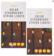 Strawberries Garden Solar String Lights