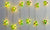 Globrite Christmas Holly String Lights