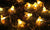 GloBrite Honey Bee Solar Lights