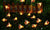 GloBrite Honey Bee Solar Lights