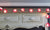 GloBrite 20 LED Flower String Lights