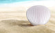 GloBrite 11 LED Mermaid Shell Mirror