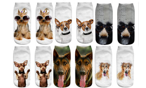 Printed Dog Socks (2pack)