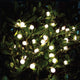 Balls Garden Solar String Lights