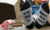 French Bring Me Saucisson Socks