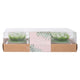 Tropical Tealights