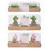 Tropical Tealights